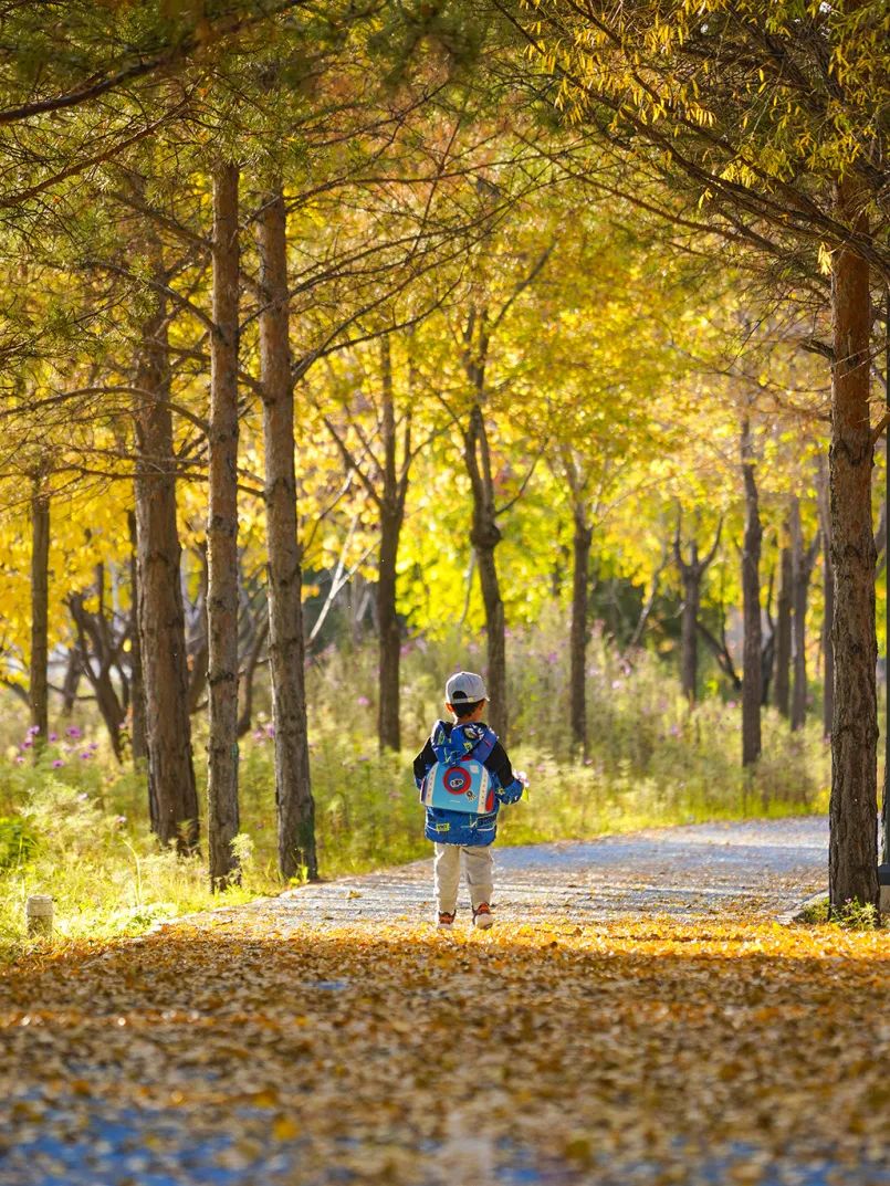 歌游内蒙古:康巴什旅居指南 歌游内蒙古:康巴什旅居指南