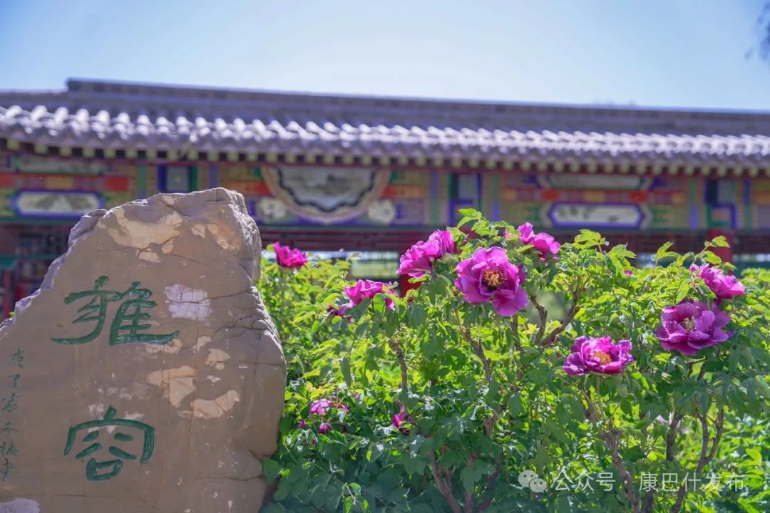 花海盛宴,游客沉醉“国色天香” 花海盛宴,游客沉醉“国色天香”