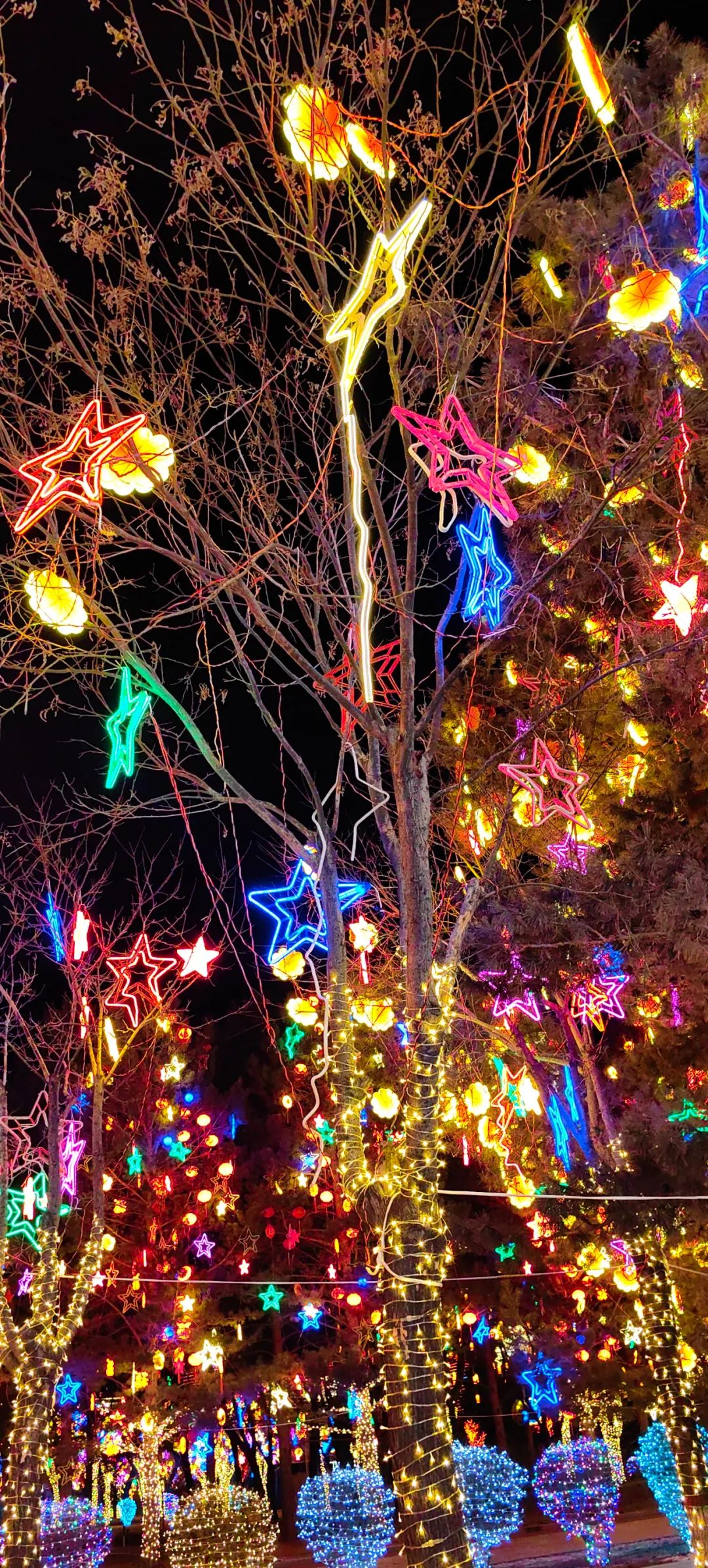 康巴什灯火夜景图鉴丨年味满溢每寸街巷，再不逛就来不及啦！