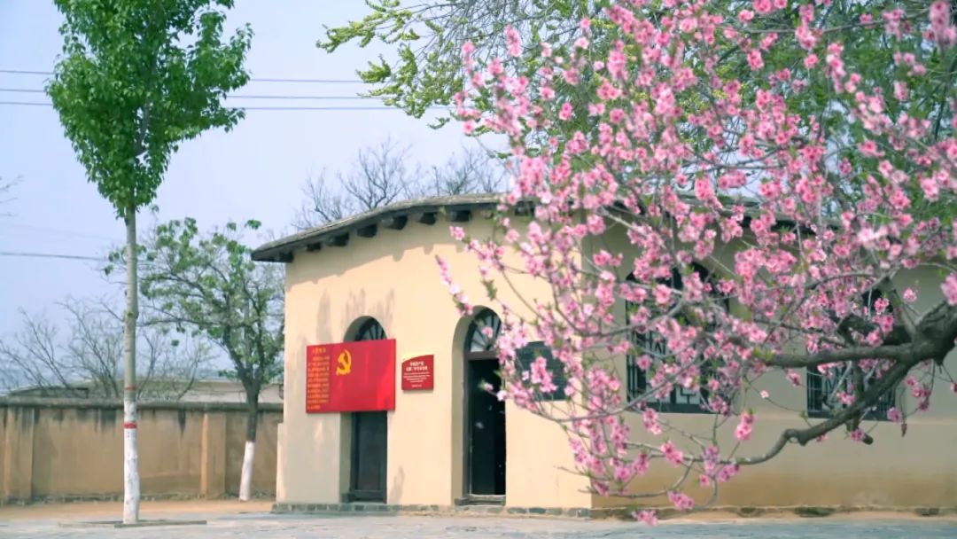 【党史讲堂】不祝寿不送礼少敬酒......从“六条规定”到“八项规定”