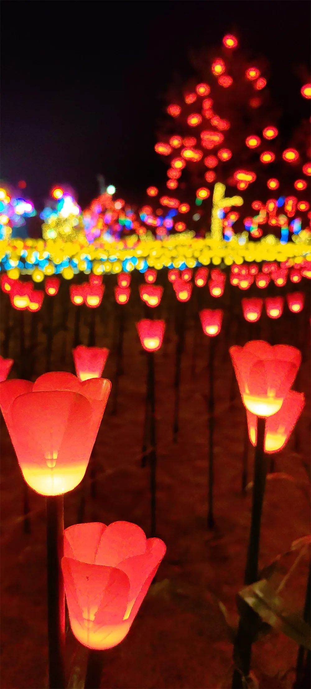 康巴什灯火夜景图鉴丨年味满溢每寸街巷，再不逛就来不及啦！