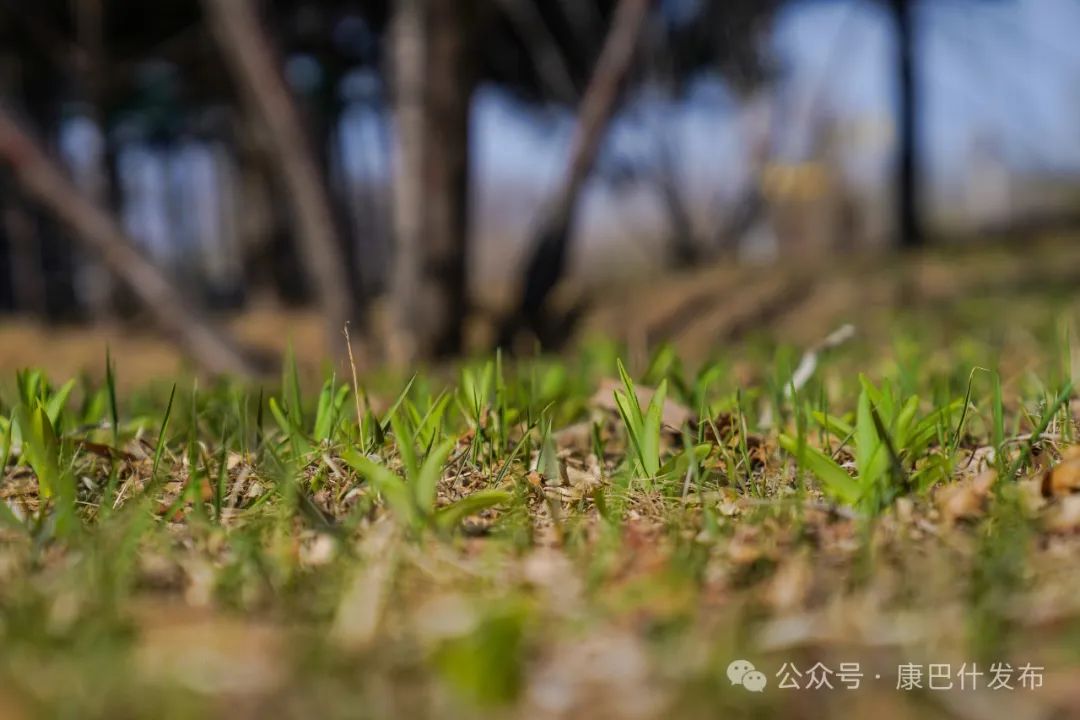 四季织锦·城色天香