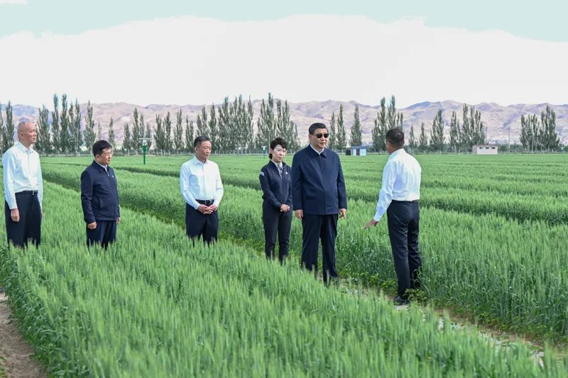 习近平在内蒙古巴彦淖尔考察并主持召开座谈会 习近平在内蒙古巴彦淖尔考察并主持召开座谈会