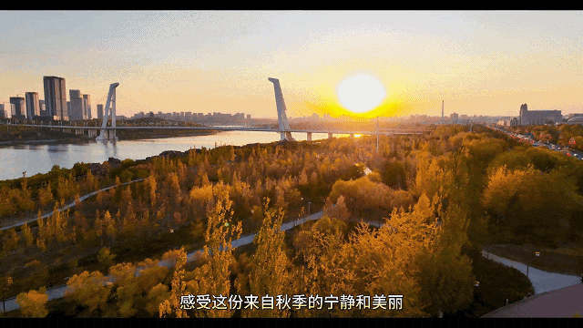 四季织锦·城色天香