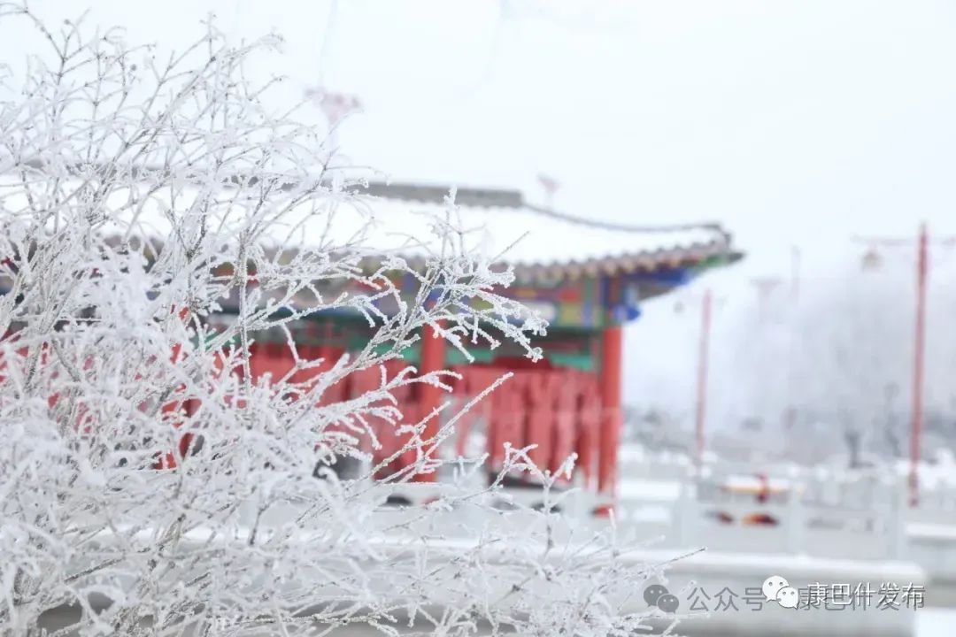 康巴什：且以诗意共远方