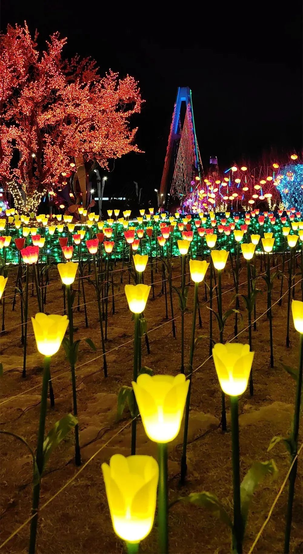 康巴什灯火夜景图鉴丨年味满溢每寸街巷，再不逛就来不及啦！