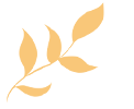 康巴什：且以诗意共远方