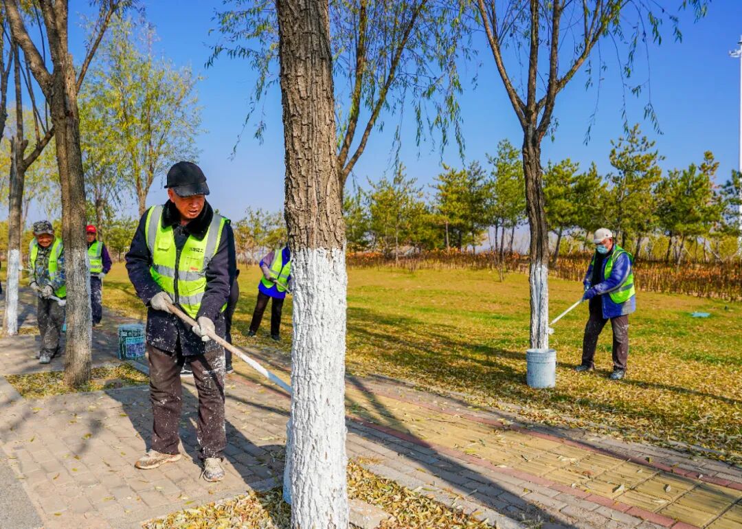康巴什绿植冬防“套餐”已就位 康巴什绿植冬防“套餐”已就位