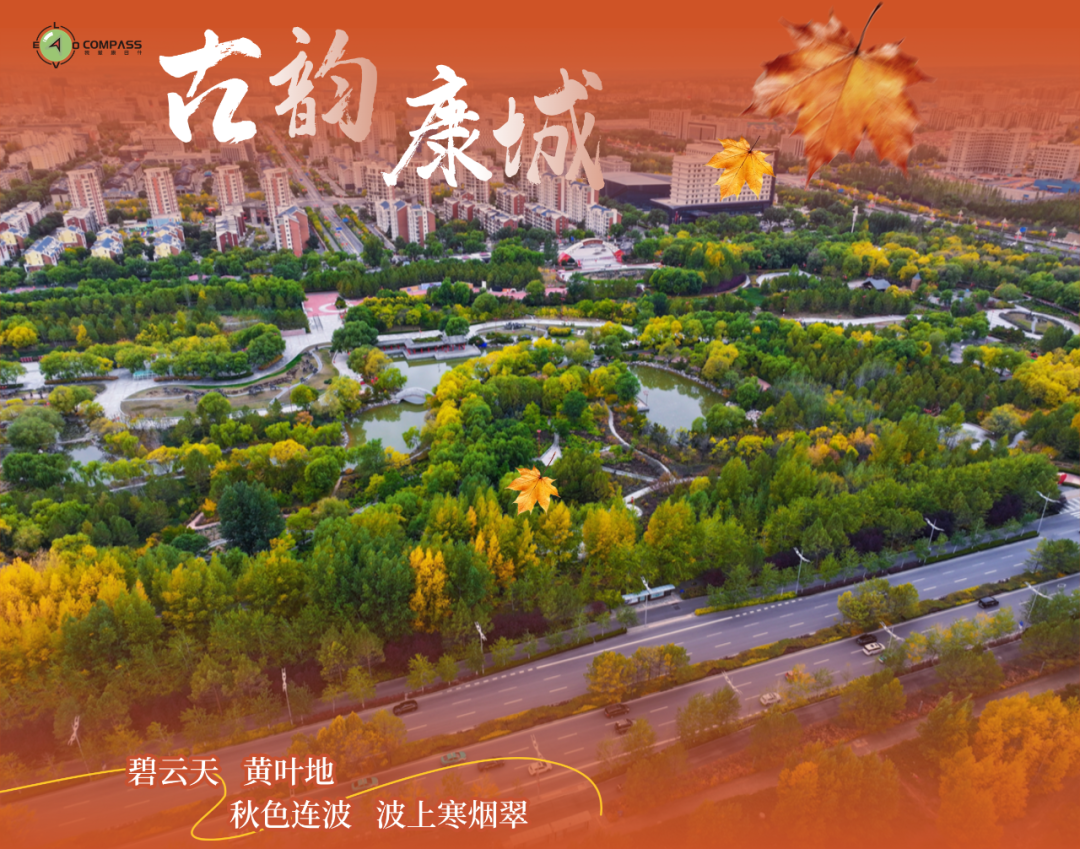 探寻秋日彩叶里的国风之美 探寻秋日彩叶里的国风之美