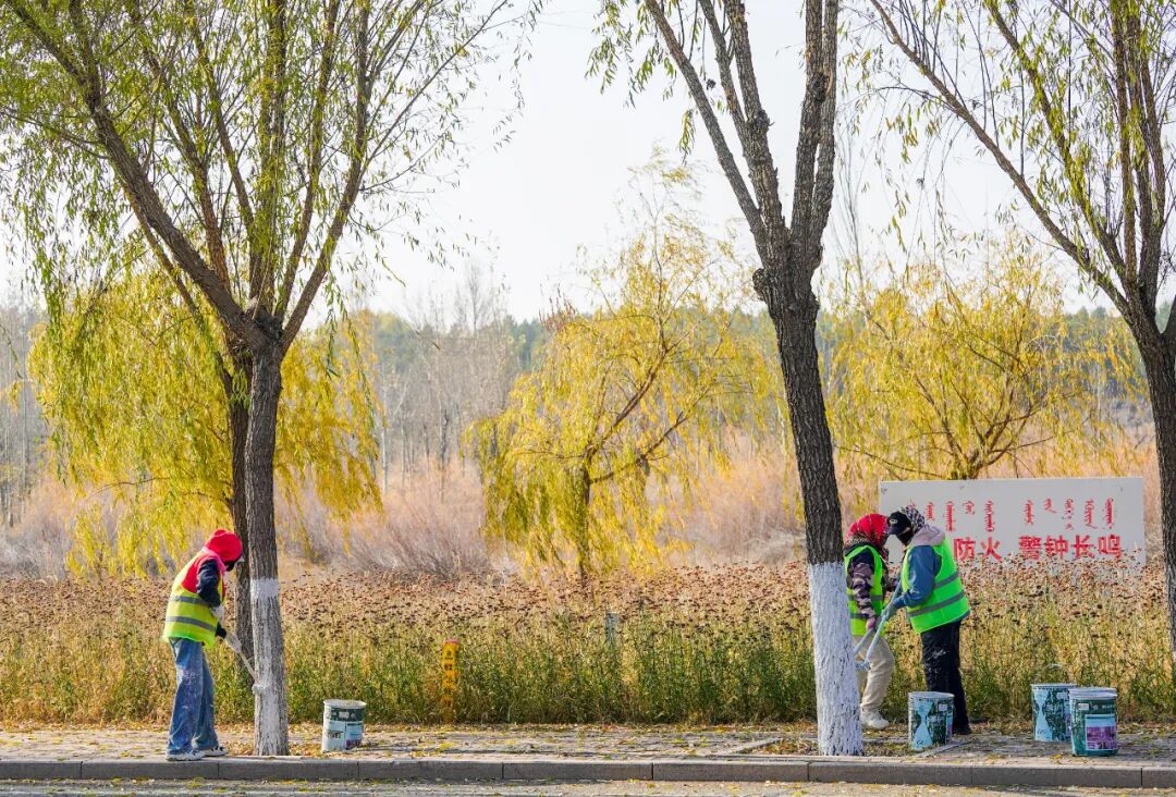 康巴什绿植冬防“套餐”已就位 康巴什绿植冬防“套餐”已就位