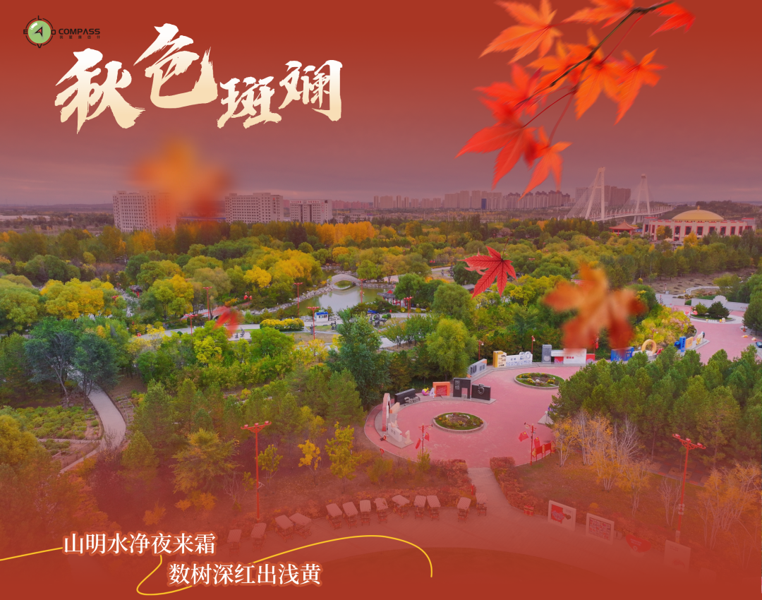 探寻秋日彩叶里的国风之美 探寻秋日彩叶里的国风之美