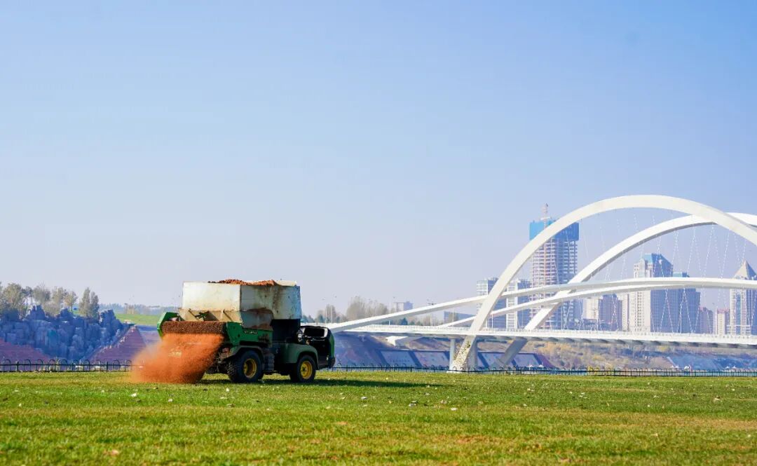 康巴什绿植冬防“套餐”已就位 康巴什绿植冬防“套餐”已就位