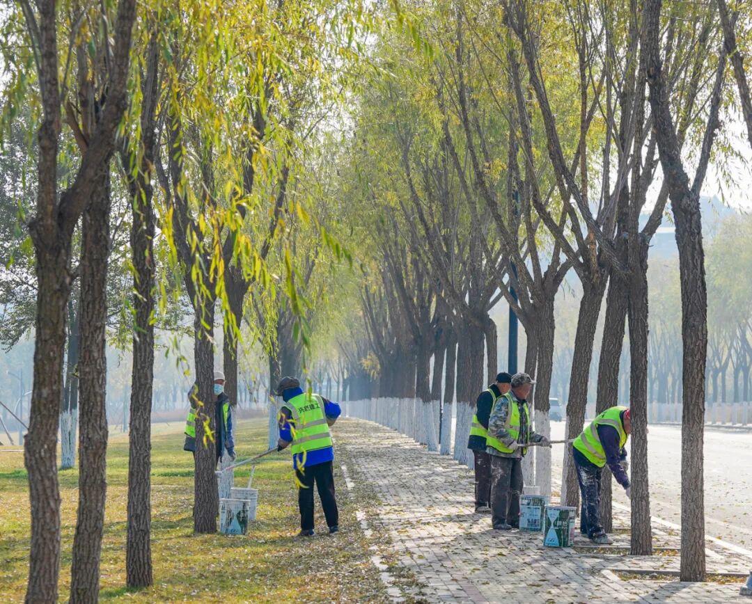 康巴什绿植冬防“套餐”已就位 康巴什绿植冬防“套餐”已就位