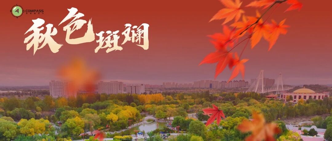 探寻秋日彩叶里的国风之美