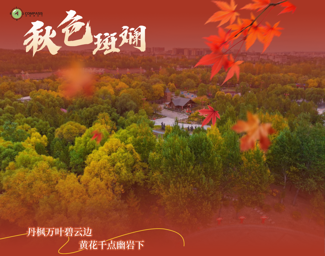 探寻秋日彩叶里的国风之美 探寻秋日彩叶里的国风之美