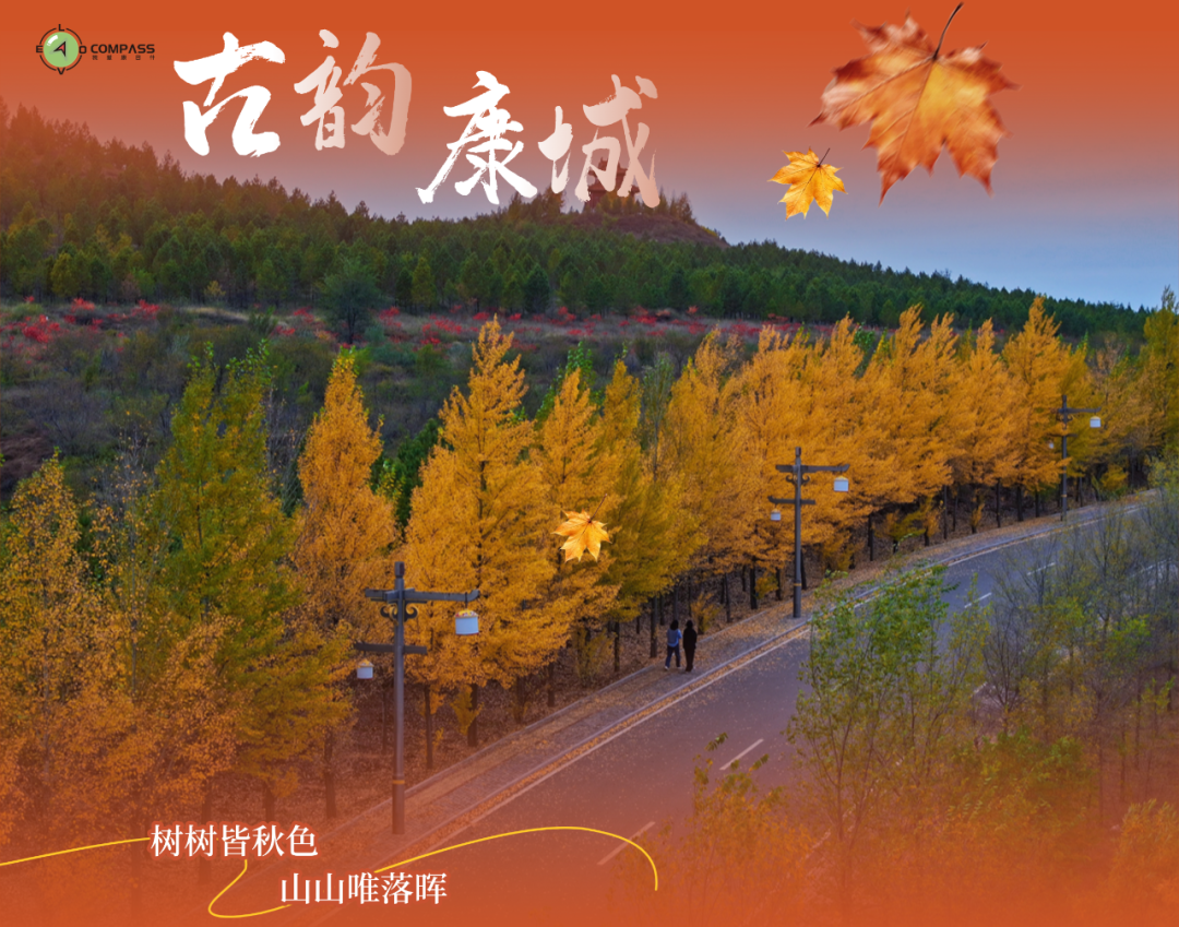 探寻秋日彩叶里的国风之美 探寻秋日彩叶里的国风之美